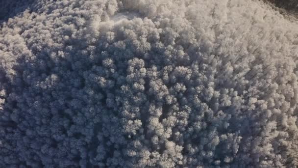 Kárpátokban Kárpátalján Ukrajnában Napkeltekor Erős Fagyok Után Felhők Nedvessége Csúcsok — Stock videók