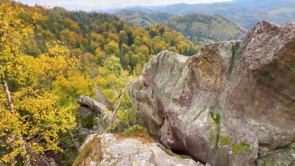 Ukrayna Karpatlar Sonbahar Karpatlar Kayın Huş Ağaçlarında Sonbahar Renkleriyle Resmedilmiş — Stok video