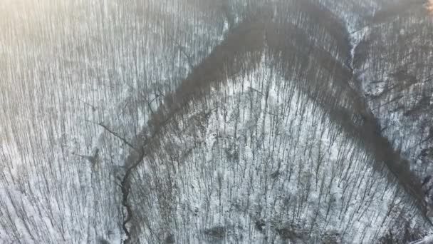 Ucrania Cárpatos Transcarpatia Dron Vuela Sobre Una Montaña Con Bosque — Vídeos de Stock