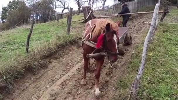 Highlander Seu Cavalo Subir Uma Estrada Barro Muito Íngreme Com — Vídeo de Stock