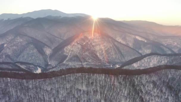 Украина Карпаты Зимний Снежный Закарпатье Горы Покрыты Снегом Тает Сильными — стоковое видео