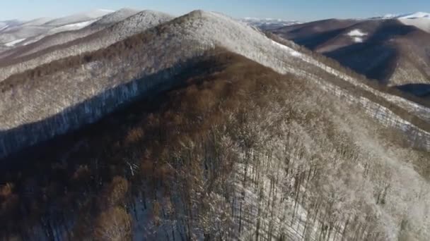 Ουκρανία Καρπάθια Χειμωνιάτικα Χιονισμένα Transcarpathia Βουνά Είναι Καλυμμένα Χιόνι Αλλά — Αρχείο Βίντεο