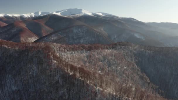 Ukrajna Kárpátok Téli Havas Kárpátalja Hegyeket Borítja Elolvad Erős Napsugarak — Stock videók