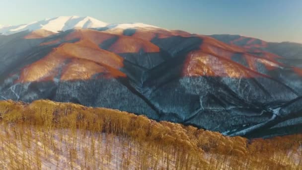 Ukrayna Karpatlar Kış Karlı Transcarpathia Kuş Bakışı Bir Dronun Hızı — Stok video