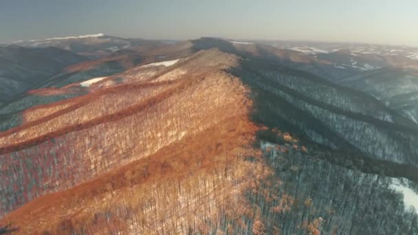 Ucrania Cárpatos Invierno Nevado Transcarpatia Velocidad Dron Vista Pájaro Muestra — Vídeo de stock
