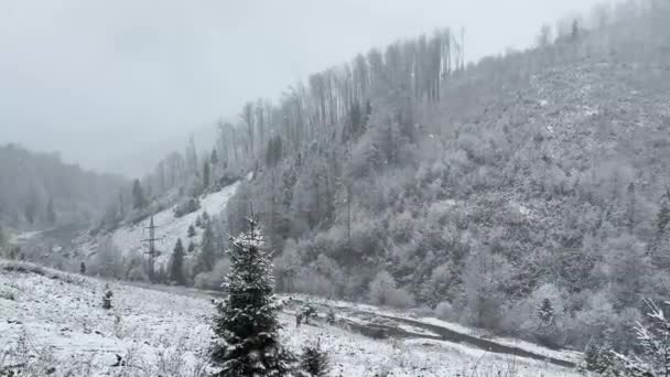 喀尔巴阡山脉 高耸入云 上覆盖着初雪 秋天白桦树的黄叶 相映成趣 美不胜收 — 图库视频影像