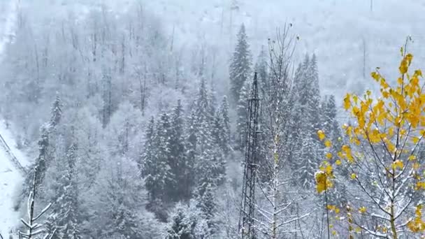 喀尔巴阡山脉 高耸入云 上覆盖着初雪 秋天白桦树的黄叶 相映成趣 美不胜收 — 图库视频影像