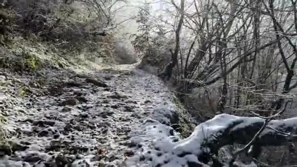Yağmurdan Sonra Dondurucu Soğuklar Yağdı Turistlerin Dağ Yolu Güneşte Parlayan — Stok video