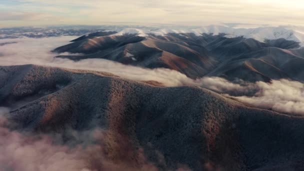 Вид Пташине Око Суворий Монохромний Альпійський Пейзаж Взимку Туманом Букові — стокове відео