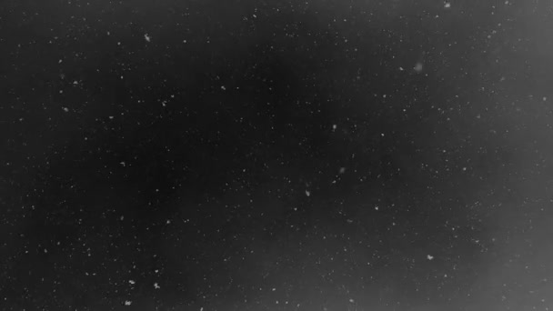 雪が泳ぎ 暗いモノクロの冬の空から落ちる 自然の瞑想的な光景 素敵な背景 — ストック動画