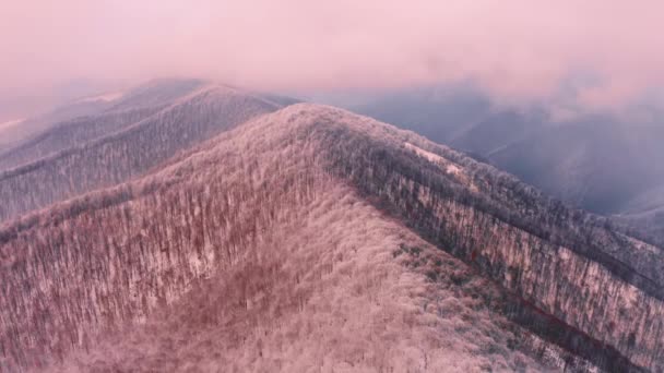 Kışın Yumuşak Bir Alp Manzarasının Kuş Bakışı Görüntüsü Kayın Ormanları — Stok video