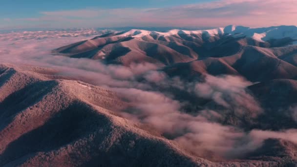 Вид Высоты Птичьего Полета Мягкий Альпийский Пейзаж Зимой Буковые Леса — стоковое видео