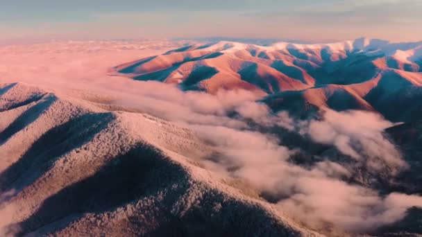 在冬天 鸟瞰着柔软的高山风景 日落时 乌克兰喀尔巴阡山脉和塔特拉河流域山毛榉森林覆盖着圆圆的雪峰 — 图库视频影像