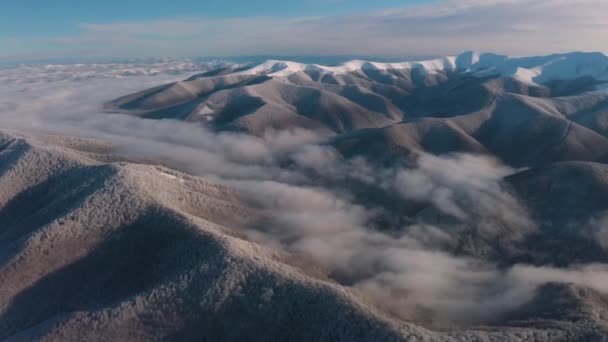 Madártávlatból Kemény Monokróm Alpesi Táj Télen Köd Bükkösök Borítják Ukrán — Stock videók