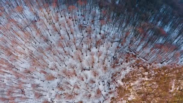 Grave Gelo All Alba Nei Carpazi Transcarpazia Ucraina Drone Vola — Video Stock