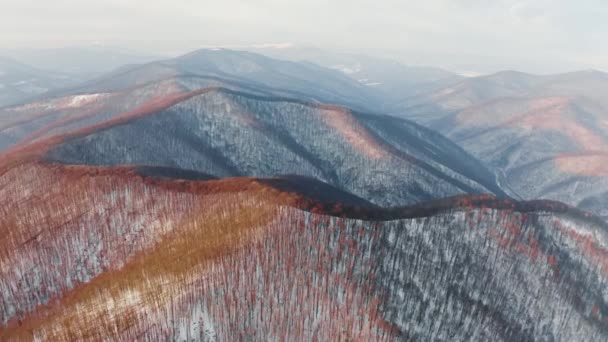 Îngheț Sever Răsăritul Soarelui Carpați Transcarpathia Ucraina Dronă Zboară Peste — Videoclip de stoc
