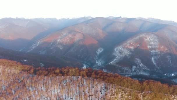 Strenger Frost Bei Sonnenaufgang Den Karpaten Transkarpatien Ukraine Eine Drohne — Stockvideo