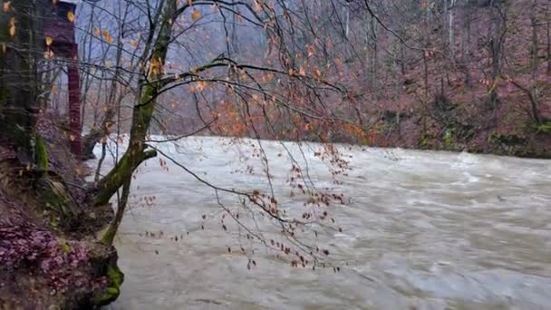 Ukraina Carpathians Transcarpathia Banjir Parah Pegunungan Musim Dingin Setelah Hujan — Stok Video