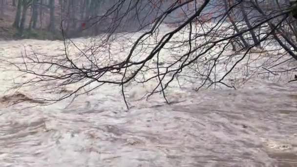 Oekraïne Karpaten Transcarpathie Ernstige Overstromingen Bergen Winter Regen Een Massa — Stockvideo