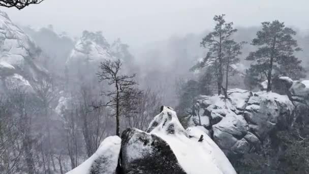 冬のババニシュ カルパチアン ウクライナ ヨーロッパのダブッシュ岩 巨大な砂岩の石の巨人は古代のブナの森の上に立ち 松や鳥の木で覆われています 雪と重いブリザード — ストック動画