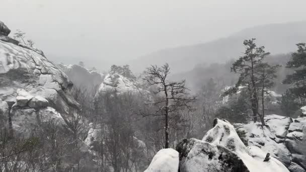 Довж Зимой Бубныще Карпаты Украина Европа Огромные Гиганты Песчаника Возвышаются — стоковое видео