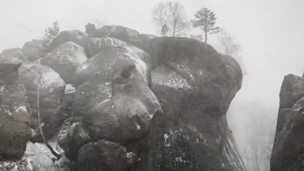 Dovbush Kışın Bubnyshche Karpatlar Ukrayna Avrupa Sallanıyor Büyük Taş Devler — Stok video