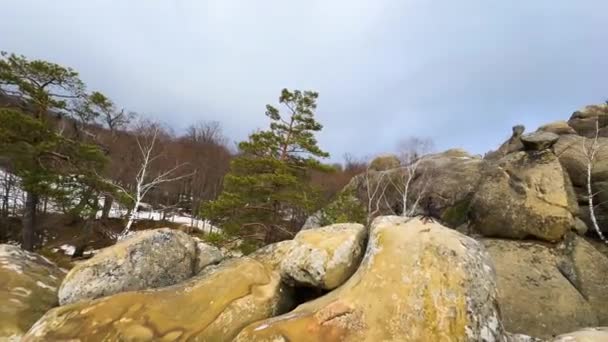 Dovbush Rocas Invierno Bubnyshche Cárpatos Ucrania Europa Enormes Gigantes Piedra — Vídeos de Stock