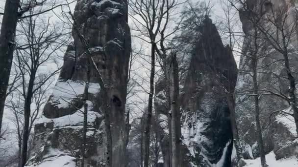 겨울에 Bubnyshche 카르파티안 우크라이나 거대한 거인은 소나무와 자작나무로 덮여있는 상승합니다 — 비디오