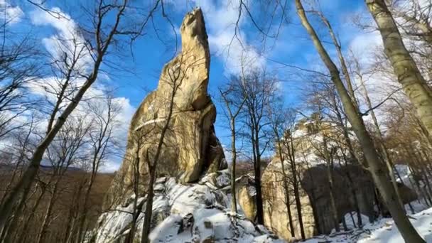 겨울에 Bubnyshche 카르파티안 우크라이나 거대한 거인은 소나무와 자작나무로 덮여있는 상승합니다 — 비디오
