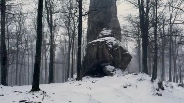 Ukrajnában Kárpátokban Van Egy Geológiai Park Kősziklák Fantasztikus Alakú Templom — Stock videók