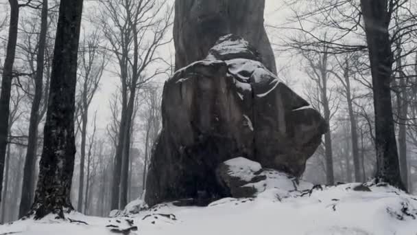 ウクライナでは カルパチア人には 素晴らしい形をした石の崖の地質公園があります これはDigbushの寺院です — ストック動画