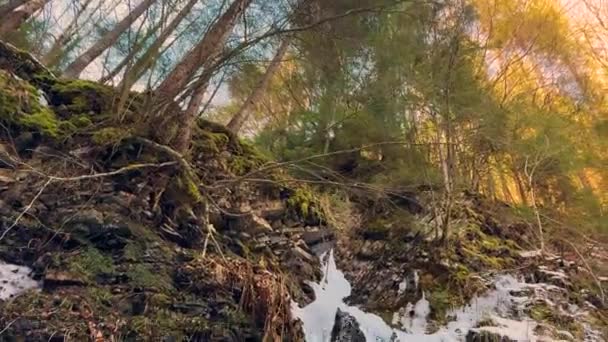 カルパティアンフロスト クムチャとシニャックのピークの下のグーク山の滝は シェネツ川に速く きれいな水を運びます 岩の上のアイスクリーク — ストック動画