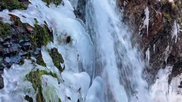 Vinter Karpatisk Frost Guk Mountain Vattenfall Topparna Khomyak Och Synyak — Stockvideo