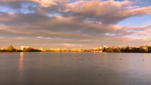 Ukraine Iwano Frankiwsk Ein Stadtsee Mit Einer Insel Und Einer — Stockvideo