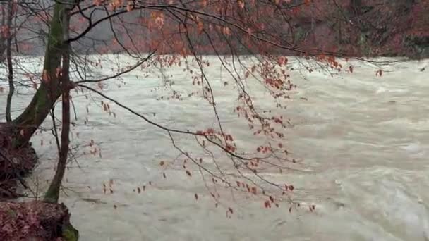 Oekraïne Karpaten Ernstige Overstromingen Bergen Winter Een Massa Water Stroomt — Stockvideo