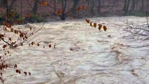 Ucrânia Cárpatos Inundações Severas Nas Montanhas Inverno Após Chuvas Uma — Vídeo de Stock