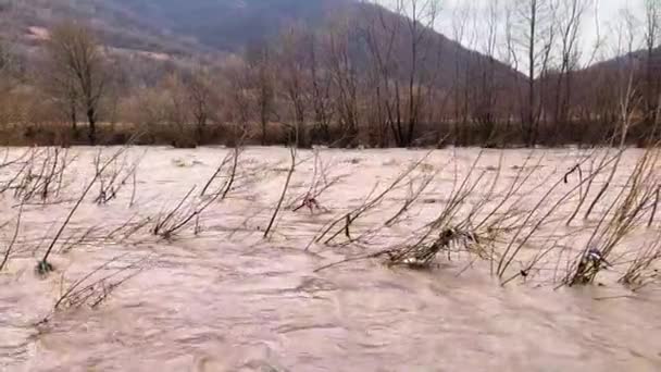 Ucrania Cárpatos Graves Inundaciones Las Montañas Invierno Después Las Lluvias — Vídeo de stock