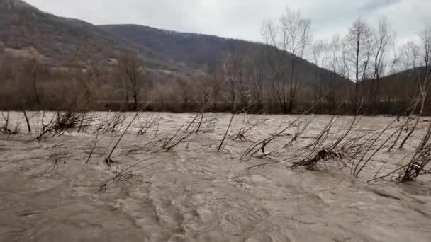 Ukraina Karpaty Poważne Powodzie Górach Zimą Deszczach Masa Wody Wpada — Wideo stockowe