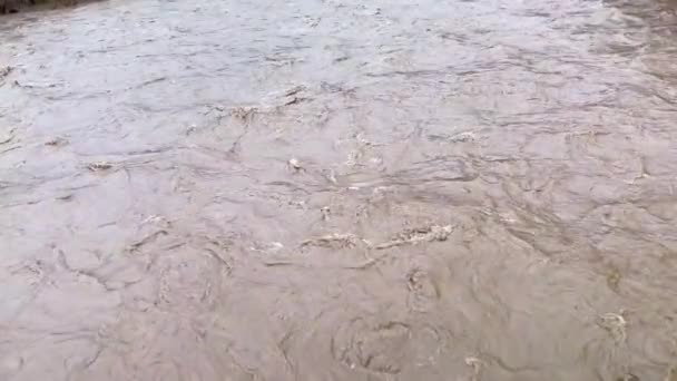 Ukraina Carpathians Transcarpathia Banjir Parah Pegunungan Musim Dingin Setelah Hujan — Stok Video