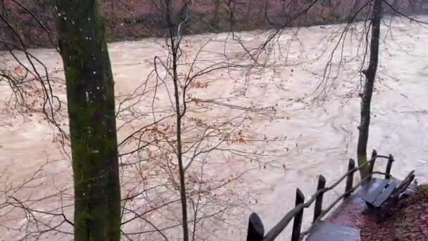 Ukraina Karpaty Zakarpacie Silne Powodzie Górach Zimą Deszczach Masa Wody — Wideo stockowe