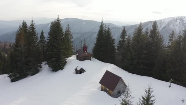 Карпаты Зимой Украине Покрыты Снегом Высоты Беспилотного Полета Можно Увидеть — стоковое видео