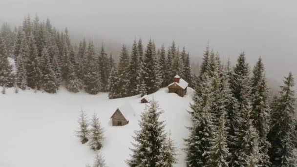 Cárpatos Invierno Ucrania Están Cubiertos Nieve Desde Altura Vuelo Con — Vídeo de stock