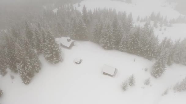 Karpaten Winter Oekraïne Zijn Bedekt Met Sneeuw Vanaf Hoogte Van — Stockvideo