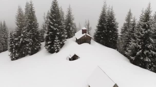 ウクライナの冬のカルパチア人は雪で覆われています あなたは野生の森と高い山の牧草地の間で正教会を見ることができます無人飛行の高さから — ストック動画