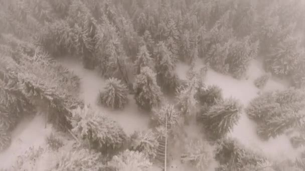 Carpazi Inverno Ucraina Sono Coperti Neve Dall Alto Drone Volo — Video Stock