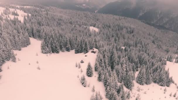 Cárpatos Invierno Ucrania Están Cubiertos Nieve Desde Altura Vuelo Con — Vídeos de Stock