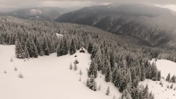 ウクライナの冬のカルパチア人は雪で覆われています あなたは野生の森と高い山の牧草地の間で正教会を見ることができます無人飛行の高さから — ストック動画