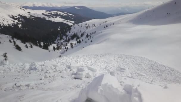 Una Poderosa Avalancha Cayó Una Ladera Alpina Los Cárpatos Ucranianos — Vídeo de stock
