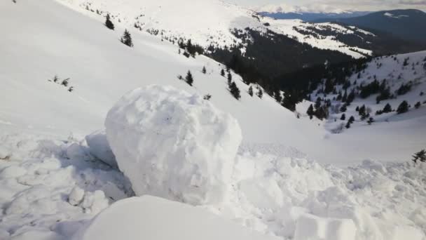 Mocná Lavina Spadla Alpského Svahu Ukrajinských Karpat Obrovské Sněhové Bloky — Stock video