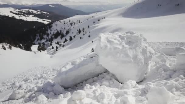 Mocná Lavina Spadla Alpského Svahu Ukrajinských Karpat Obrovské Sněhové Bloky — Stock video
